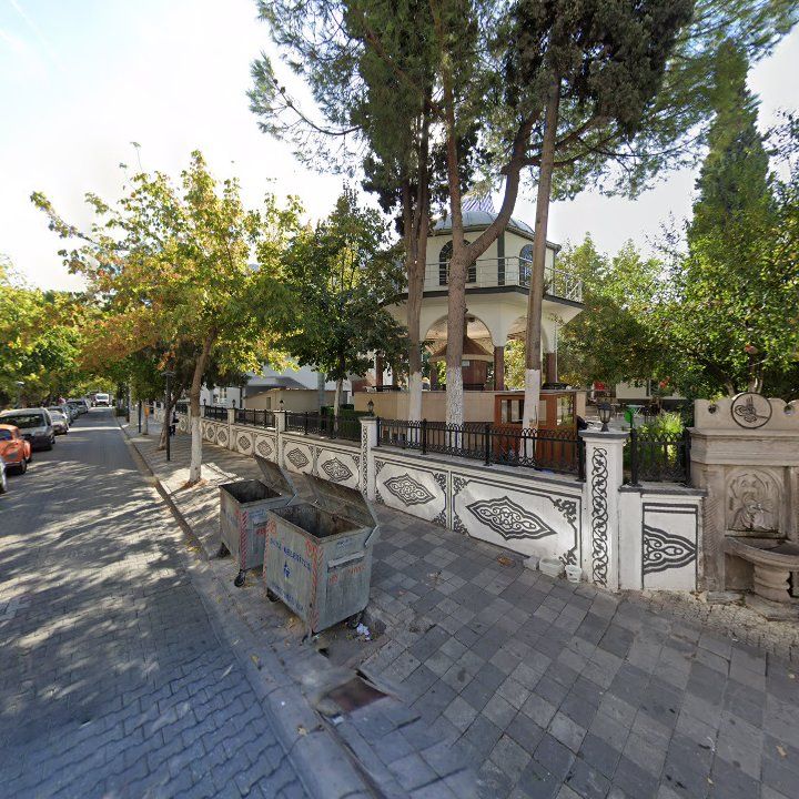 Fotoğraf 3