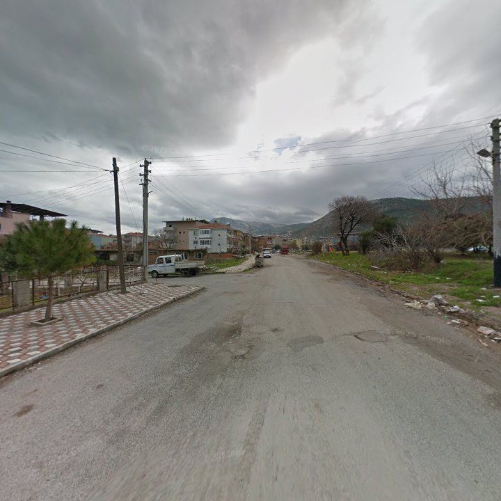 Fotoğraf 5