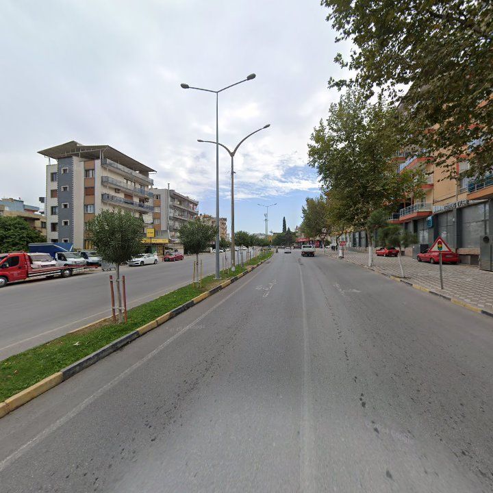 Fotoğraf 8