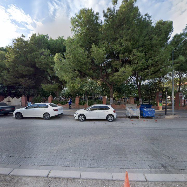 Fotoğraf 8