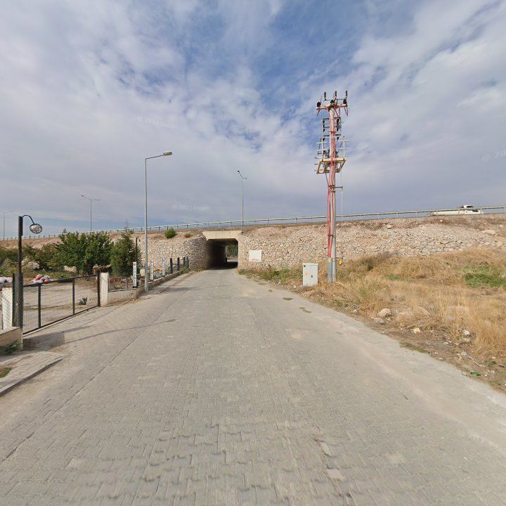 Fotoğraf 6