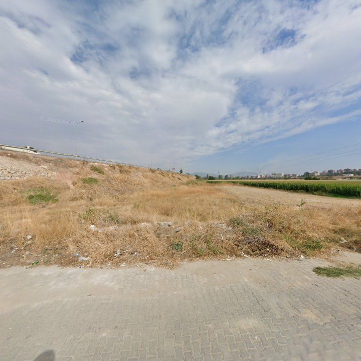 Fotoğraf 7
