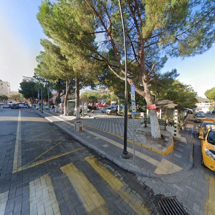 Fotoğraf 9
