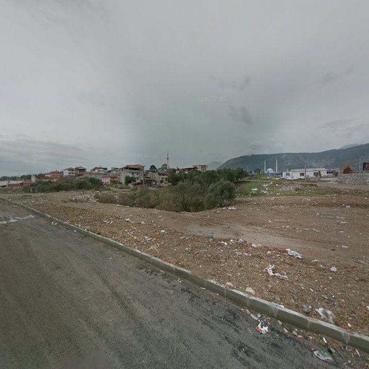 Fotoğraf 6