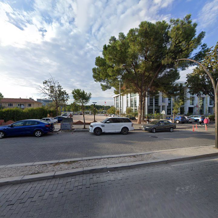 Fotoğraf 7