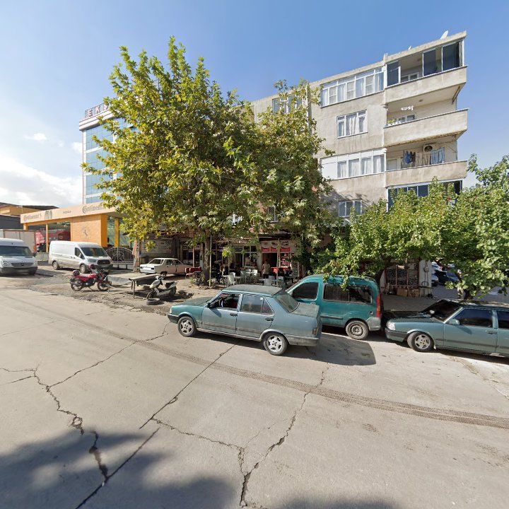 Fotoğraf 6