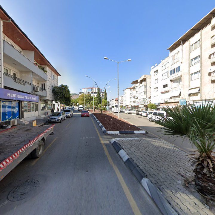 Fotoğraf 3
