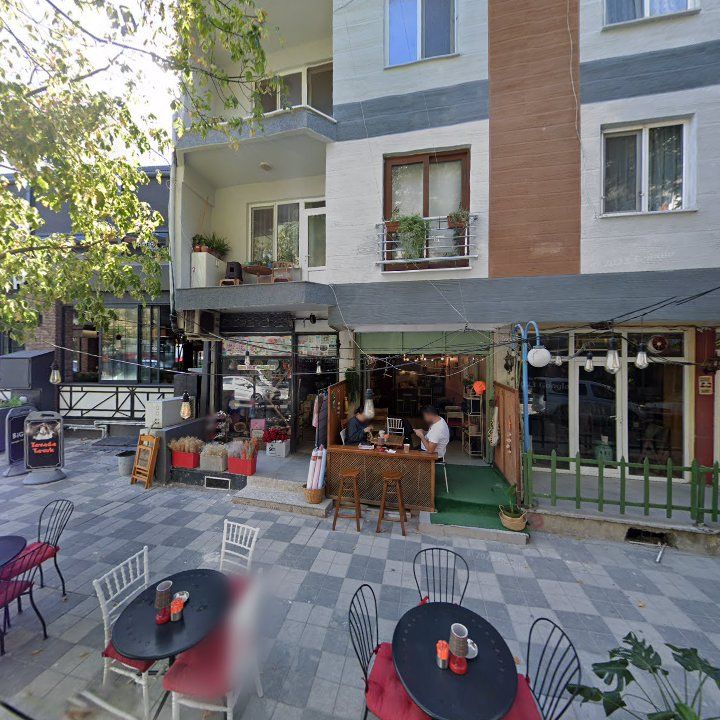Fotoğraf 6