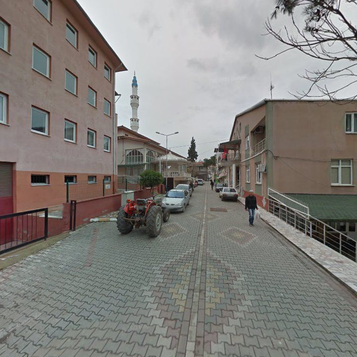 Fotoğraf 9