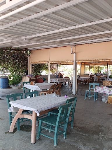 Fotoğraf 13