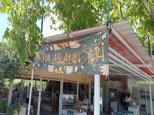Fotoğraf 14