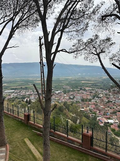 Fotoğraf 17