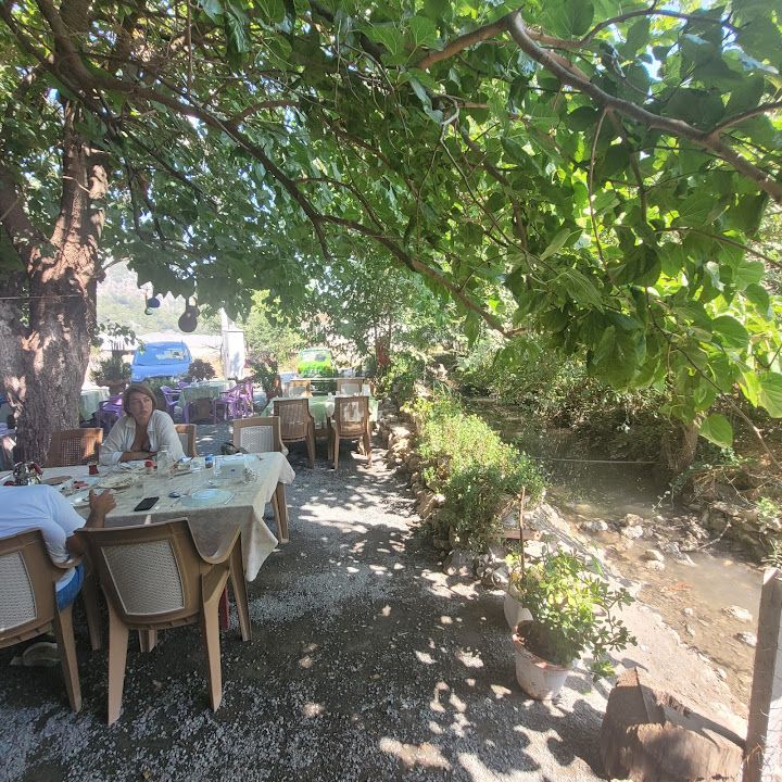 Fotoğraf 43
