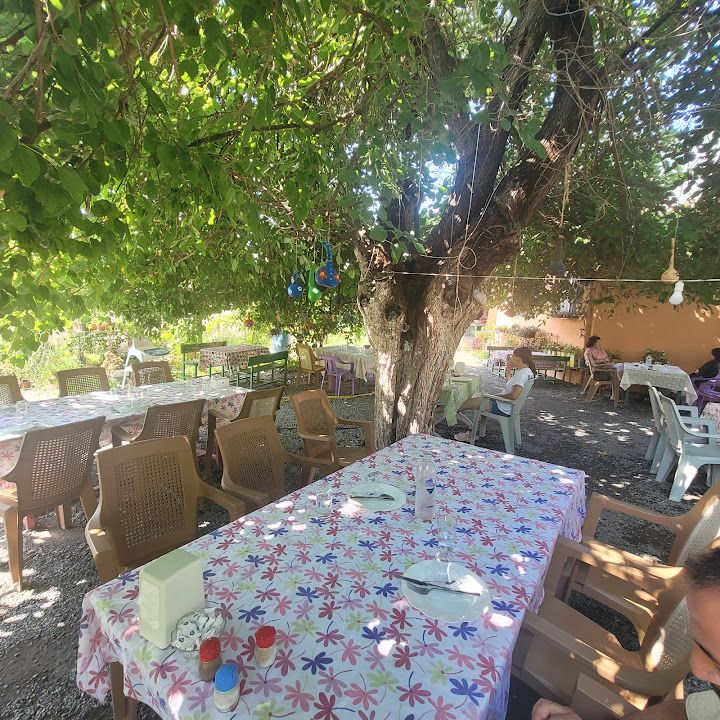 Fotoğraf 42