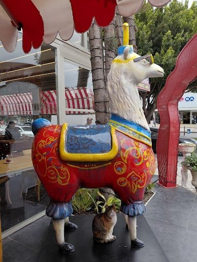 Yorum fotoğrafı 2