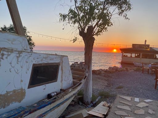 Fotoğraf 16