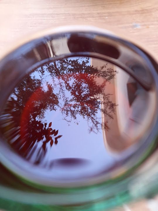 Fotoğraf 15