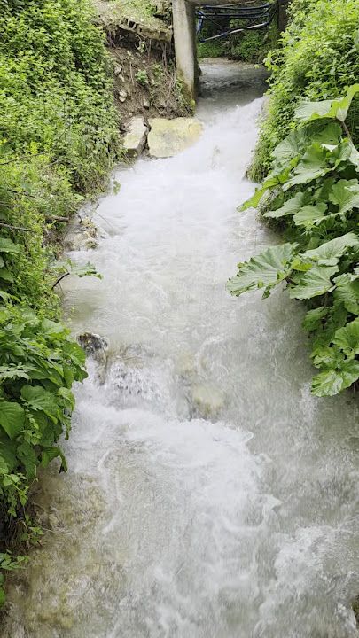 Fotoğraf 32