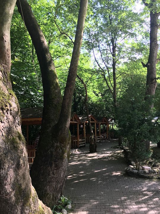 Fotoğraf 34