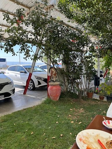 Fotoğraf 17