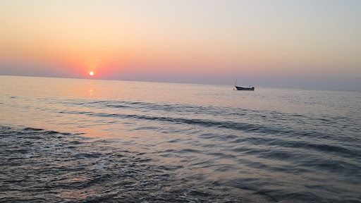 Yorum fotoğrafı 5