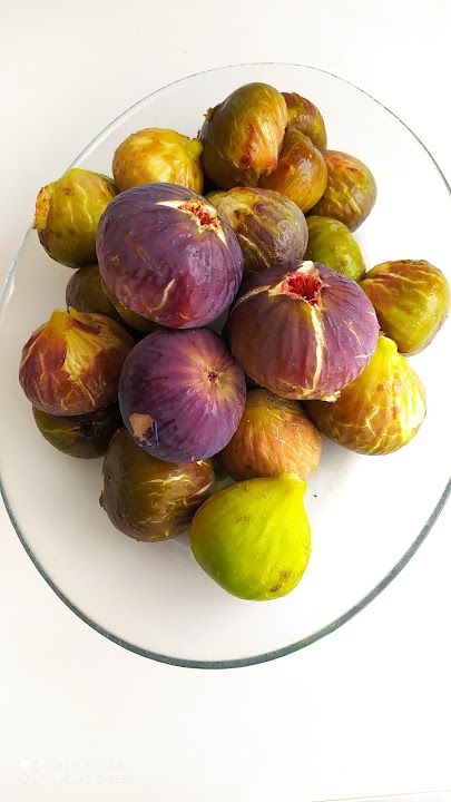 Fotoğraf 16