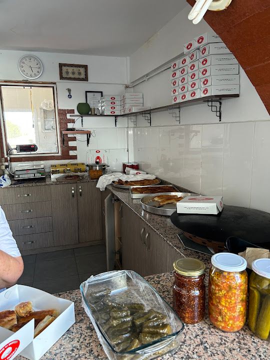 Fotoğraf 12