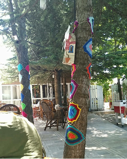 Yorum fotoğrafı 6