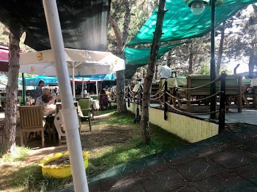 Yorum fotoğrafı 3