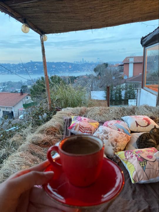 Fotoğraf 37