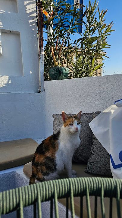 Fotoğraf 55