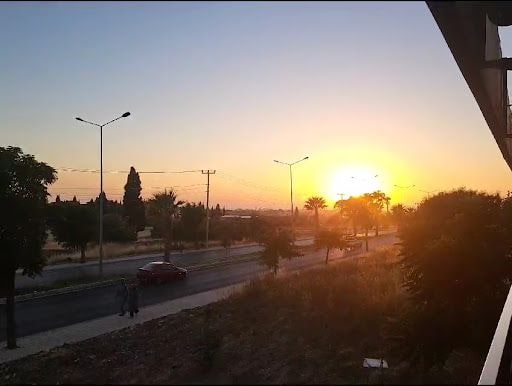 Fotoğraf 12