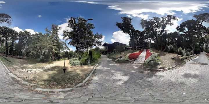 Fotoğraf 43