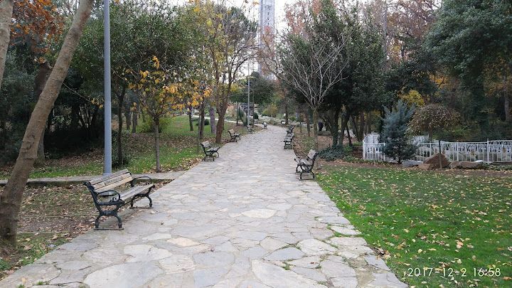 Fotoğraf 57
