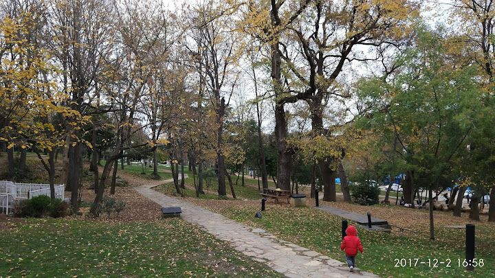 Fotoğraf 56