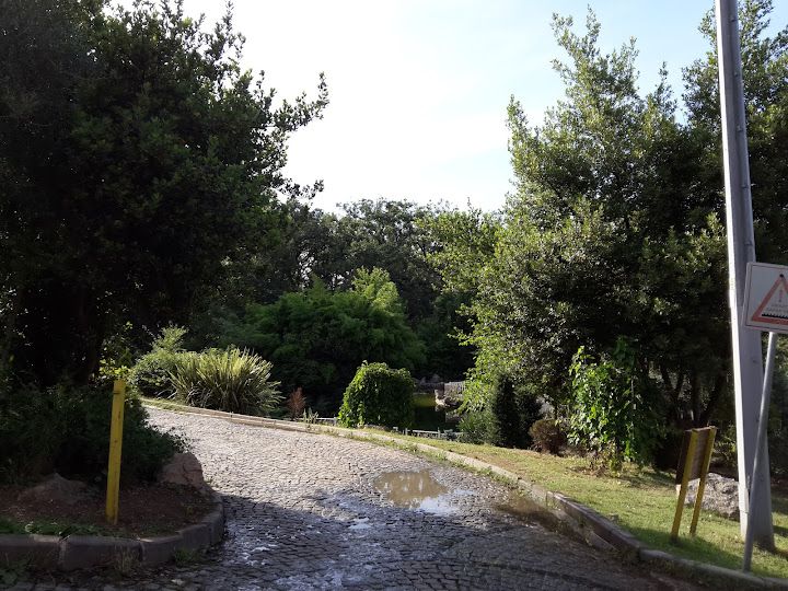 Fotoğraf 26