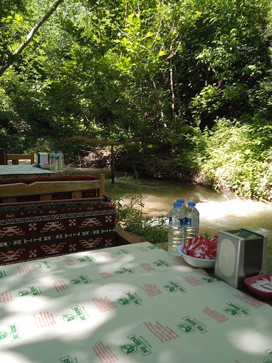 Fotoğraf 19