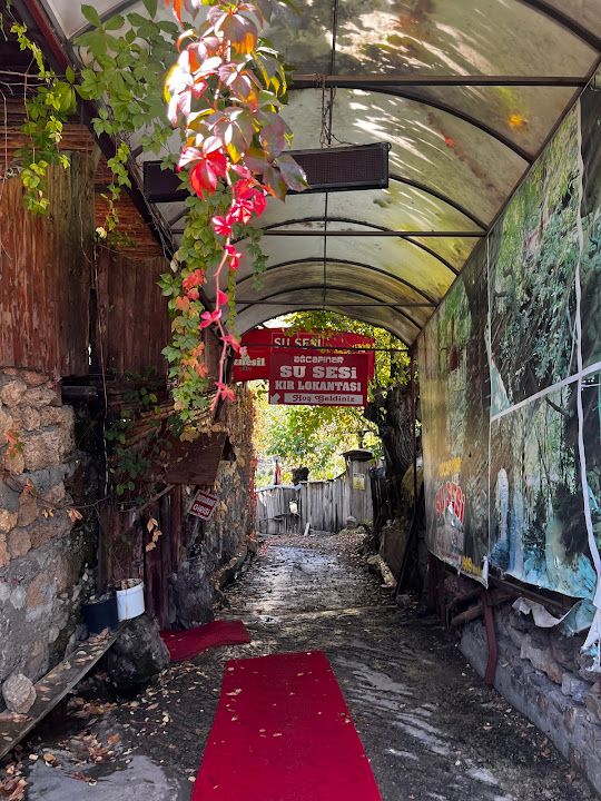 Fotoğraf 14