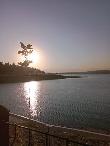 Yorum fotoğrafı 8