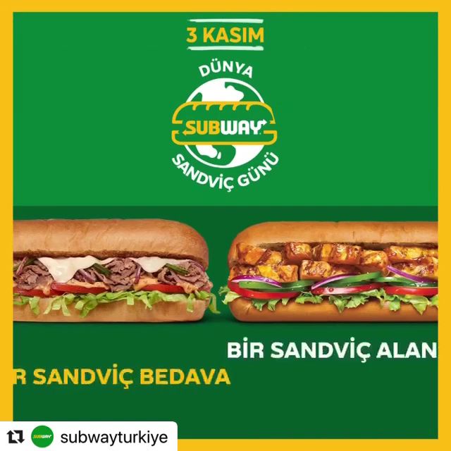 Fotoğraf 14