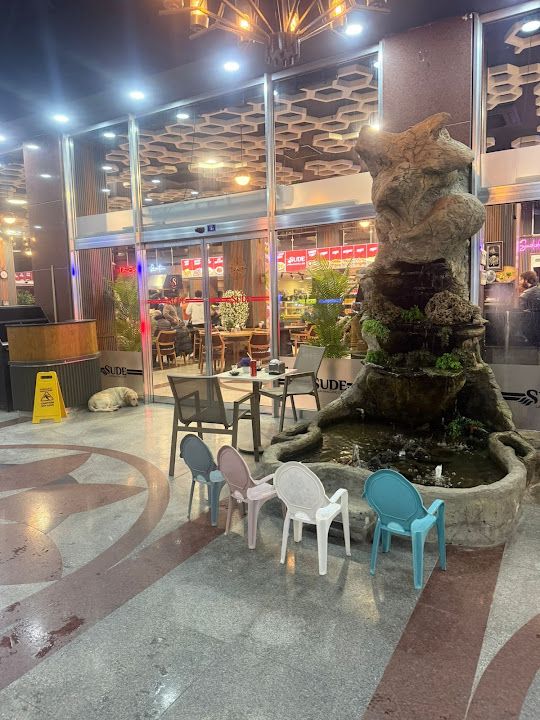 Fotoğraf 10