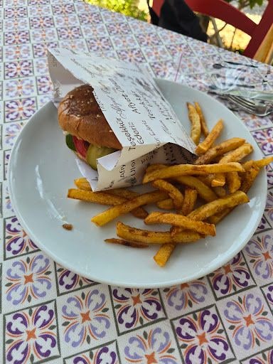 Fotoğraf 24
