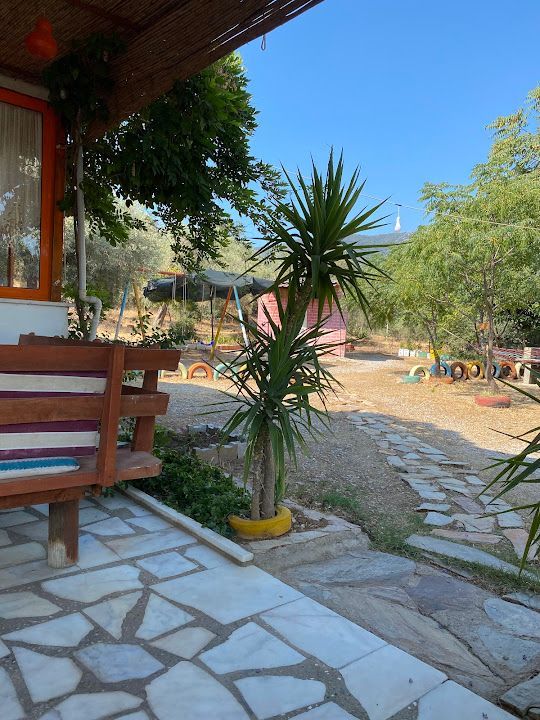 Fotoğraf 19