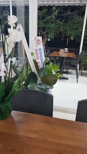 Yorum fotoğrafı 6