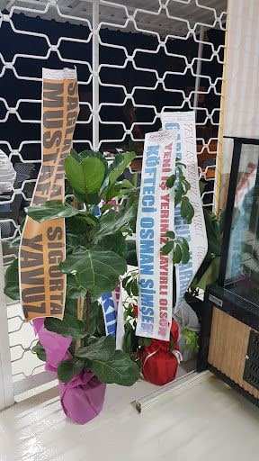 Yorum fotoğrafı 7
