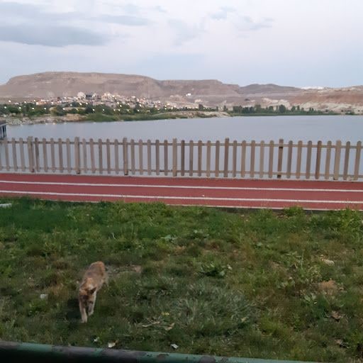 Yorum fotoğrafı 5