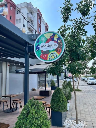 Yorum fotoğrafı 9
