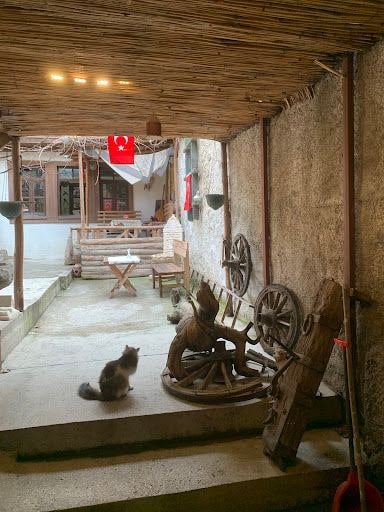 Yorum fotoğrafı 4