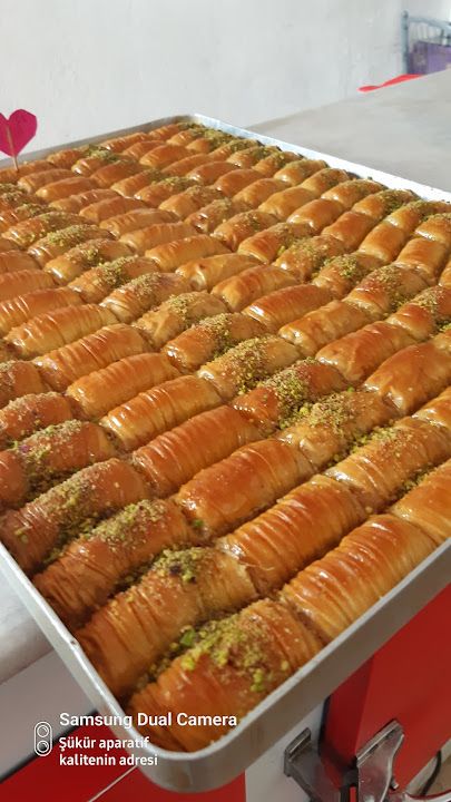 Fotoğraf 10