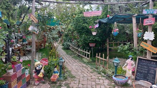 Yorum fotoğrafı 3
